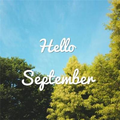 pg电子娱乐官网游戏app下载